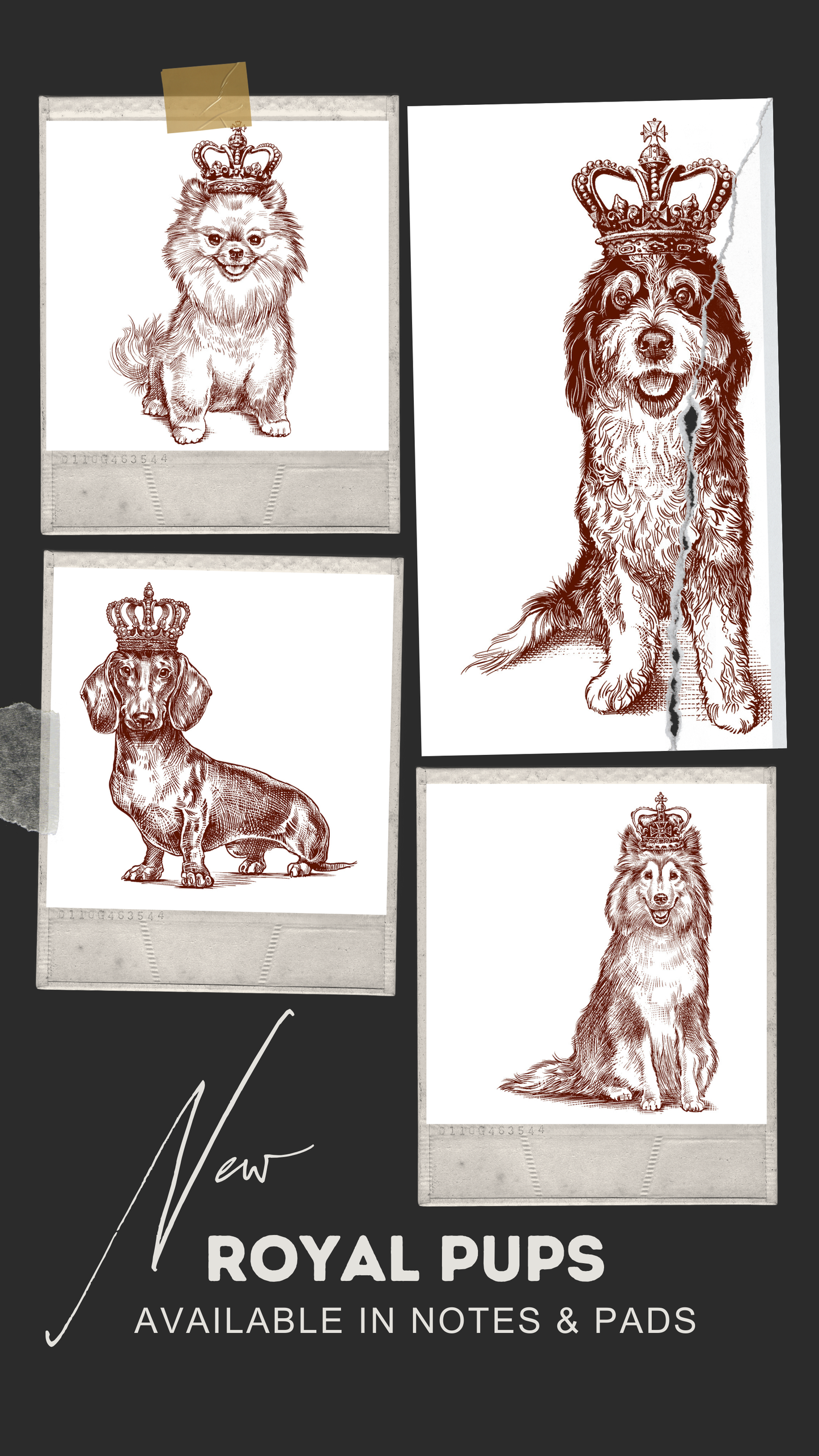 Royal Dachshund Long Pad